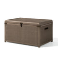 Aufbewahrungsbox 120 x 60 x 65 cm Kunststoffgeflecht Taupe mit Deckel für Garten
